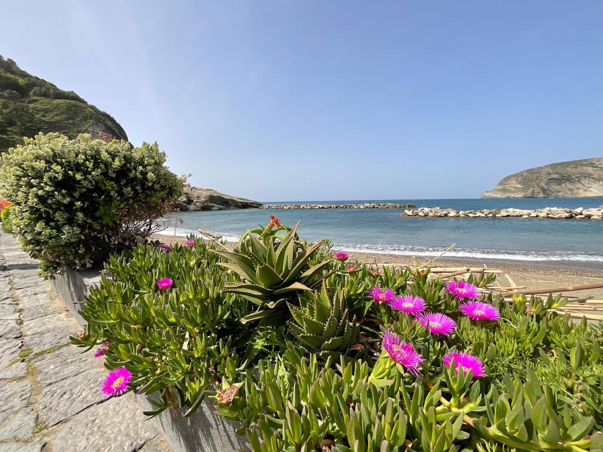 Casa Francesco Seaside Apartment Sant'Angelo  ภายนอก รูปภาพ